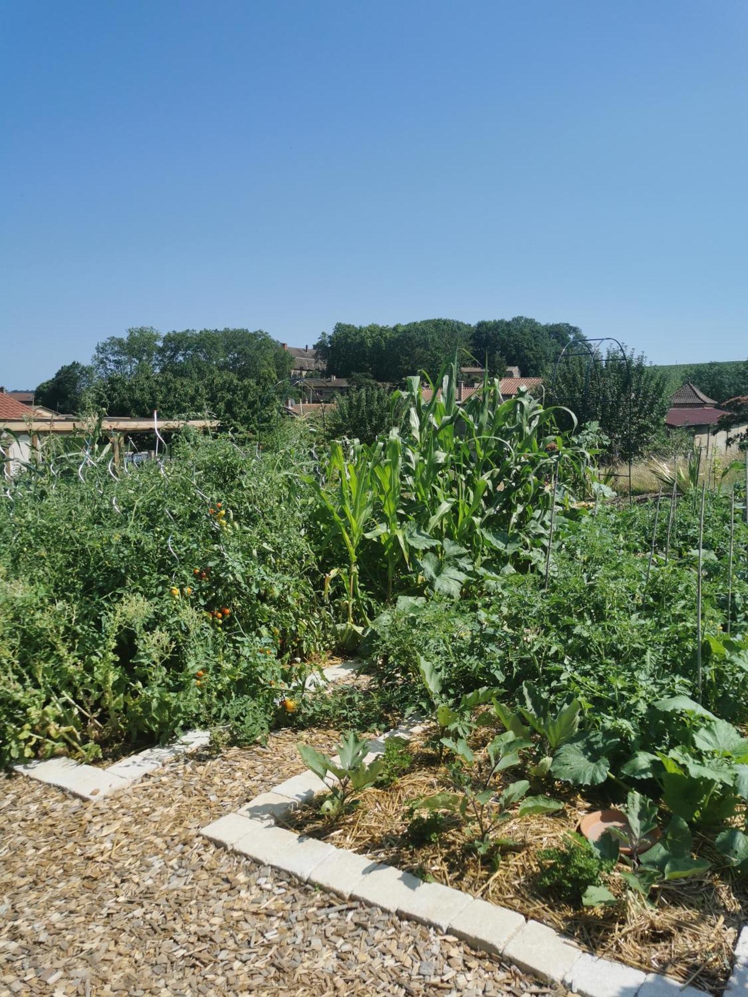 Au Jardin Des Deux Roches Prissé Exterior foto